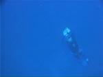 1999-06-freediving-3