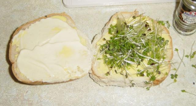 Making a perfect Egg Butty - Mayo and cress. Raymond Blanc makes the best mayo, the cress you get from anywhere...