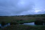 Bodmin Moor 10