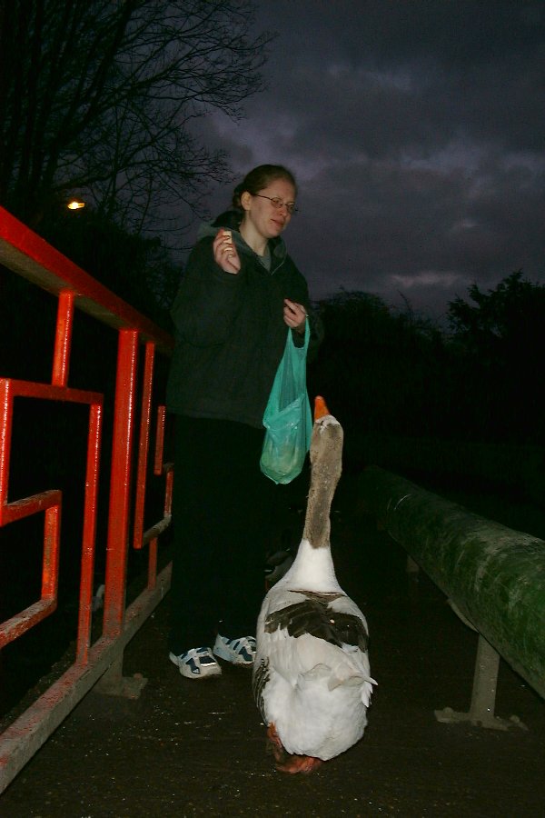 Kat and a Goose