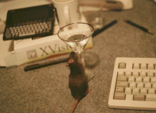 Rat Martini