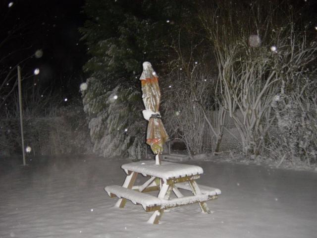 Snow Bench