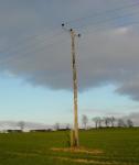 Telegraph Pole