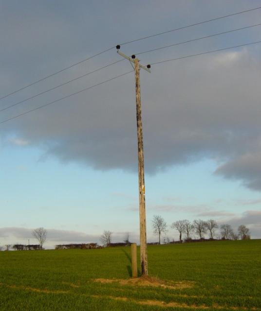 Telegraph Pole