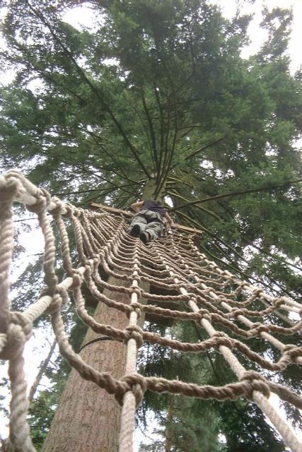 Tree Climber